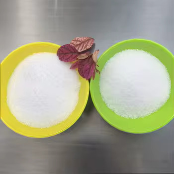 D 맥아당 섭취와 관련된 건강상의 이점과 위험