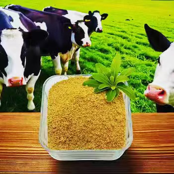Dosis Betaine HCL untuk Pengobatan Gastritis yang Efektif
