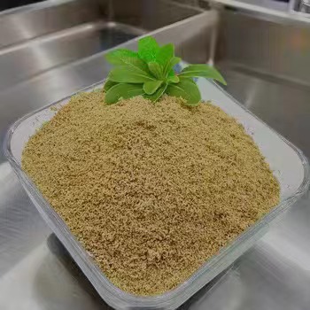 Erlebe die Vorteile des Betaine HCL Präparats für eine gesunde Verdauung