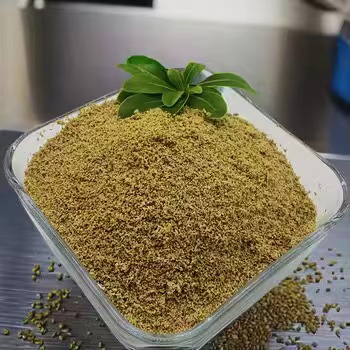 علم پشت بتاین و سلامت مغز