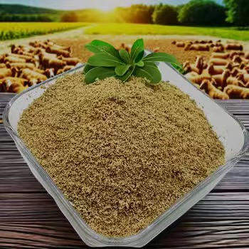 বেটেইন কিভাবে আপনাকে GERD লক্ষণ নিয়ন্ত্রণ করতে সাহায্য করতে পারে