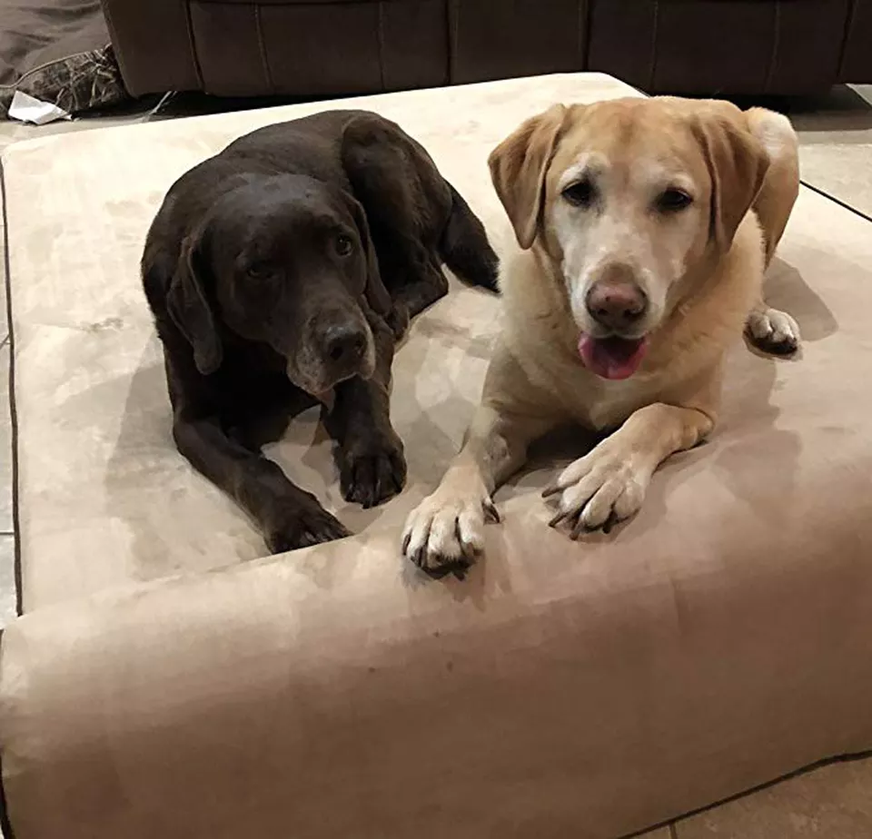 Antibacterial antistatic cartoon soft and comfortable orthopedic dog bed for large dogs factory