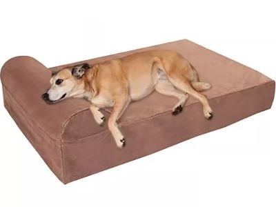 Why Foam Density Matters in Small Space Sofa Selection