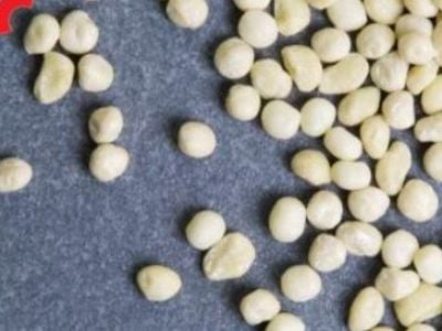 What Are the Most Common Chewing Gum Raw Materials?