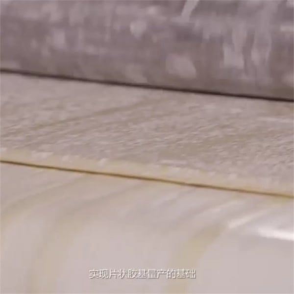 ¿Cómo ayudará el chicle con xilitol a los dientes de tu perro?