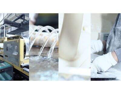 How Sanxis Special Design Gum Base Meets Custom Market Demands