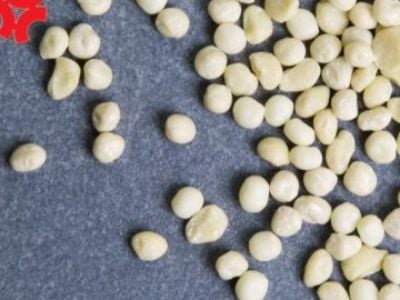 The Best Chewing Gum Raw Material Manufacturers for Your Business Needs