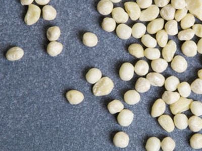 From Dragees to Liquid Gum: The Versatility of Specialized Gum Bases
