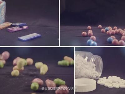 The Role of Gum Base in Shaping the Chewing Experience: A Complete Overview