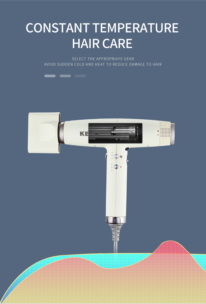 Rechargeable Hot And Cold Air Salon Hair Dryer details