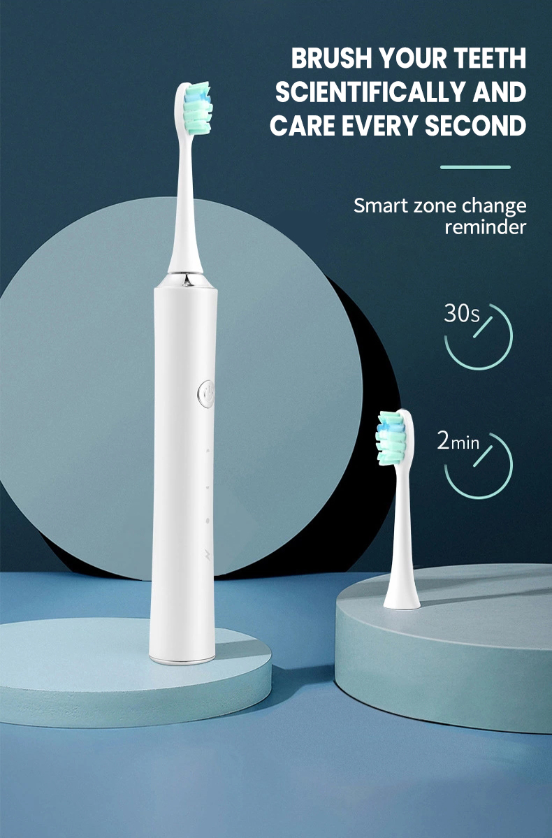 Eco Friendly Sonic Electric Toothbrush Kemei Km-Ys702 Powerful Usb Rechargeable Ultrasonic Tooth Brush manufacture
