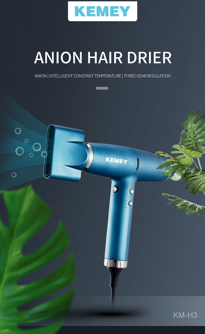 Rechargeable Hot And Cold Air Salon Hair Dryer supplier
