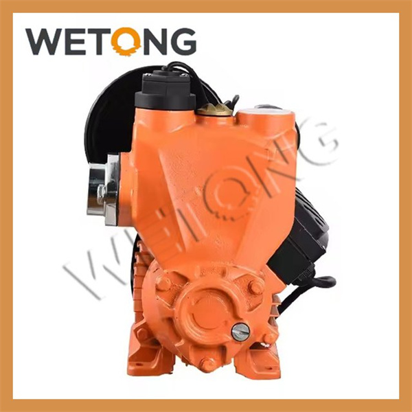 Electric pumps for irrigation