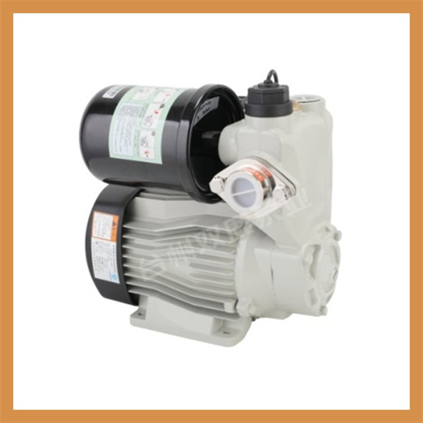 Das kompakte und vielseitige Design von Tauchpumpen