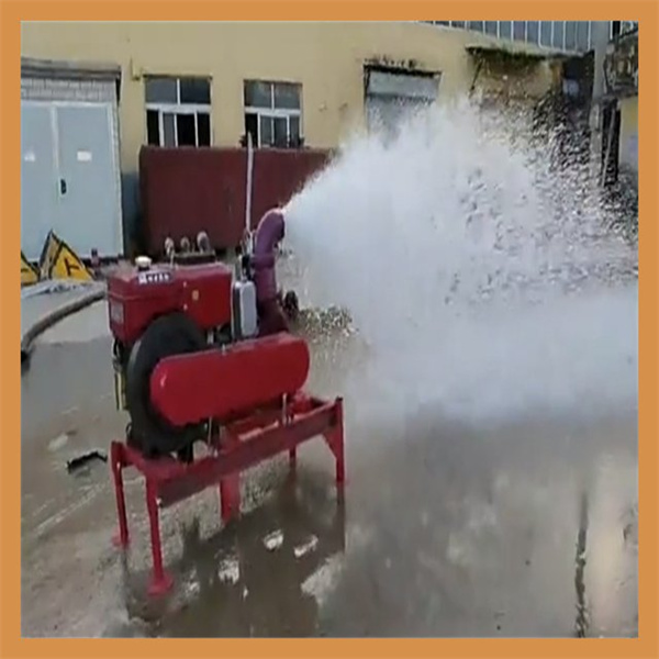 Maximize water flow with the 2hp submersible pump.