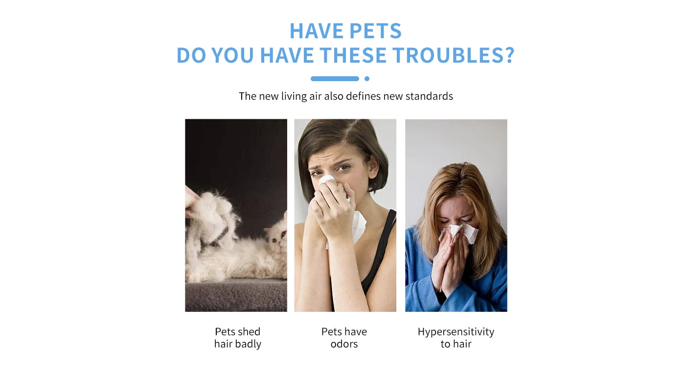 Washable Air Inlet Remove Haze Pet Dander Air Purifier supplier