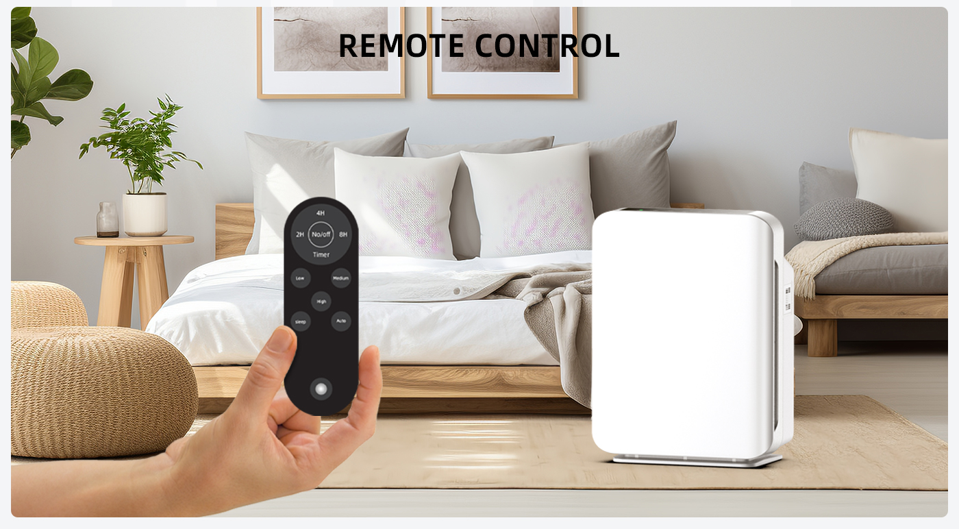 PM2.5 Removal Air Purification Room HEPA Air Purifier details