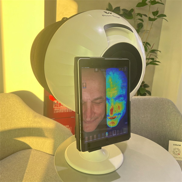 Explore Your Personality and Traits with Our Online Face Analyzer