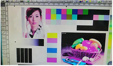 China-Made Onepass Carton Machine supplier