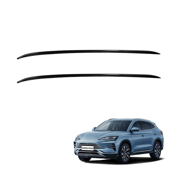 Stay Organized on the Road with BYD Roof Racks