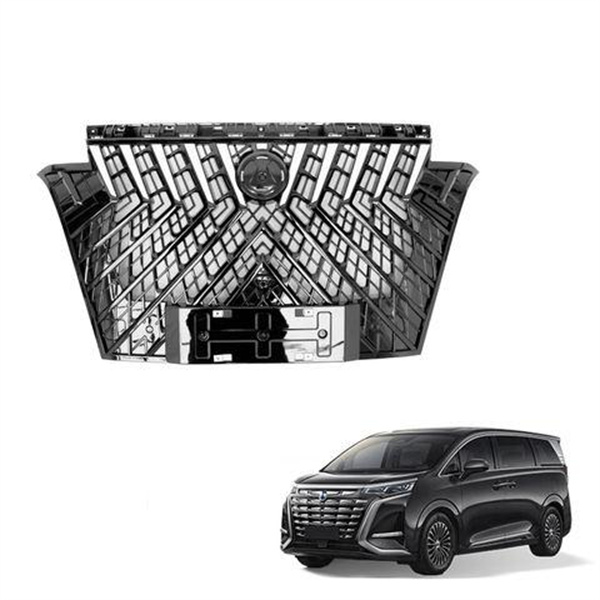 Make a statement on the road with the Denza EV Grill LIS