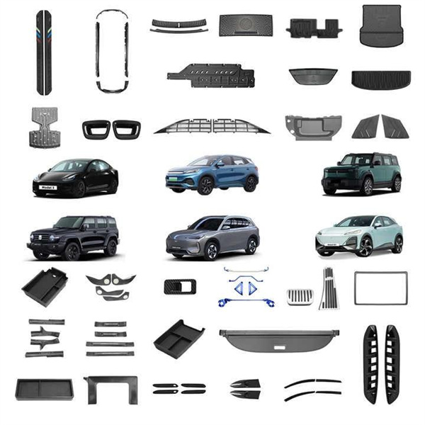 Stylish Accessories for a Cozy and Functional Beetle