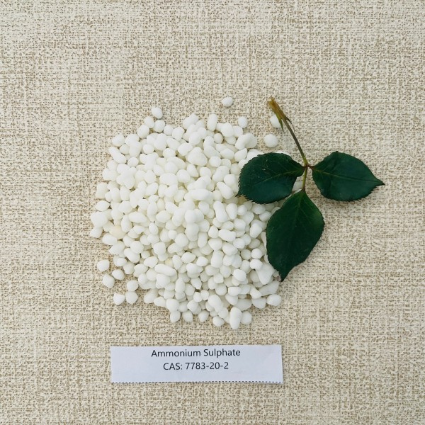 A Nutrient-Rich Solution for Plants