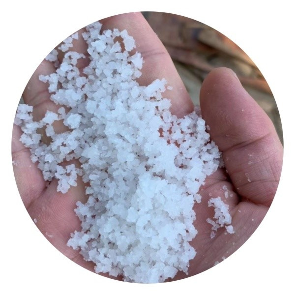 Safety in Sea Salt Wholesale