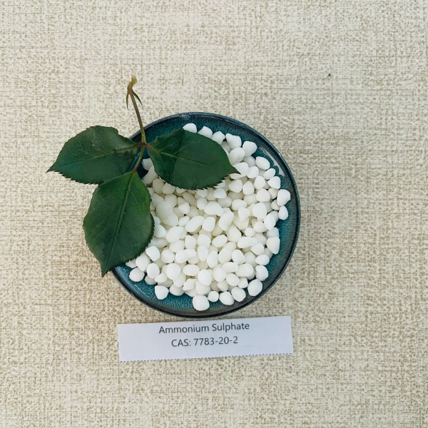 Global supply chain disruptions weigh on ammonium sulphate price fluctuations