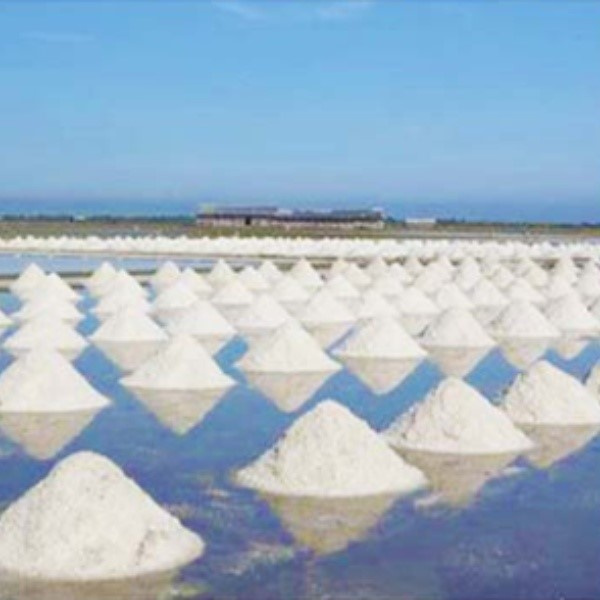 Safety of Natural Sea Salt