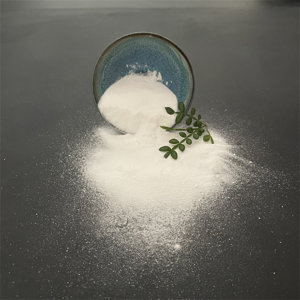 Sodium Bicarbonate Sodium and Its Contributions to Health and Wellness