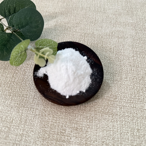 Competitive Analysis of Soda Ash Pricing