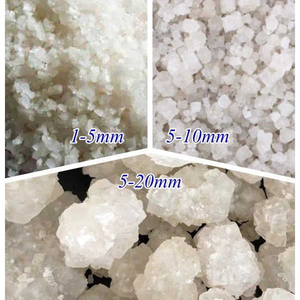 From seasoning to preserving, the versatile uses of sea salt in everyday life