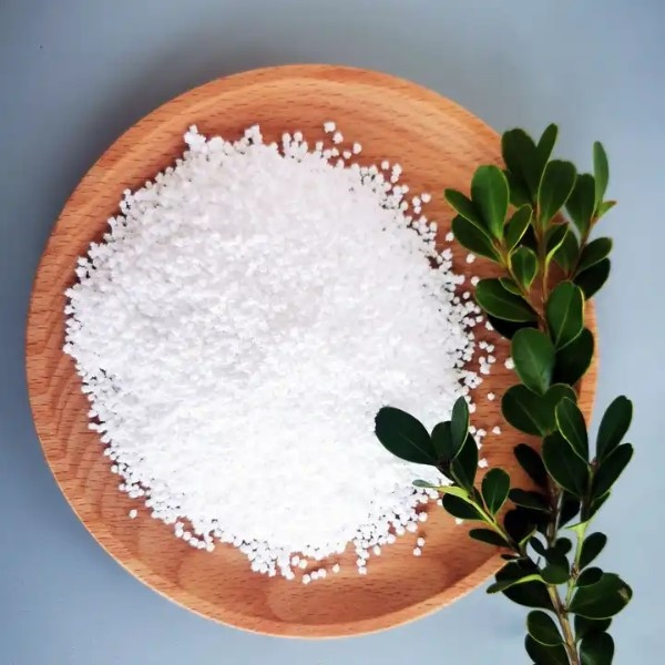Enhancing Shelf Life and Safety in Food Packaging