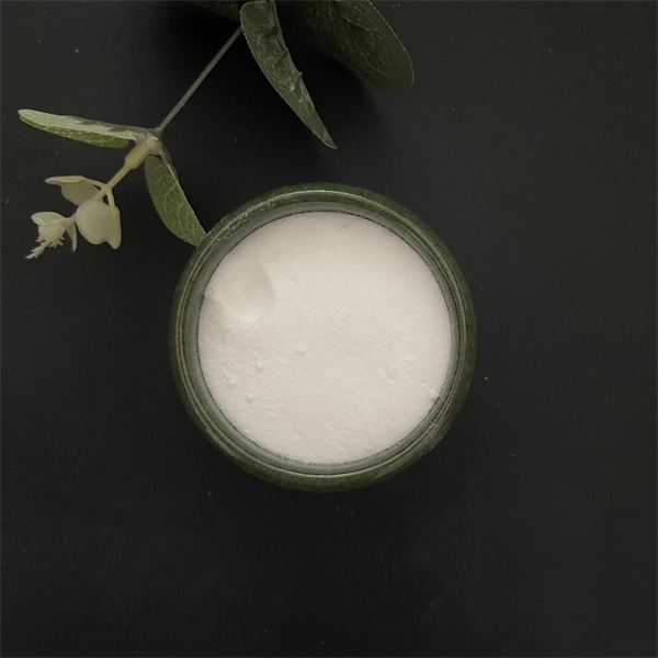 Discover the Many Ways Sodium Bicarb Powder Can Simplify Your Life