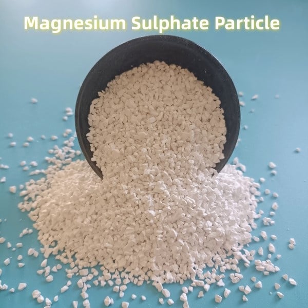 The Essential Mineral