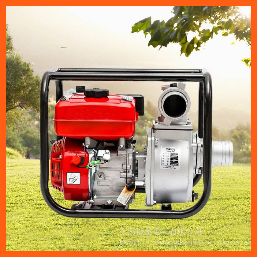Diesel Pump 12V Features and Advantages