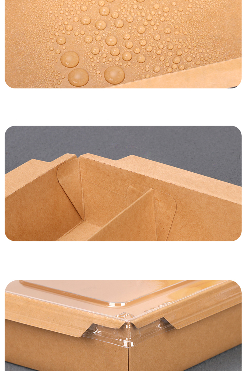 Two compartment lunch box with clear PET lid FOR take away food details