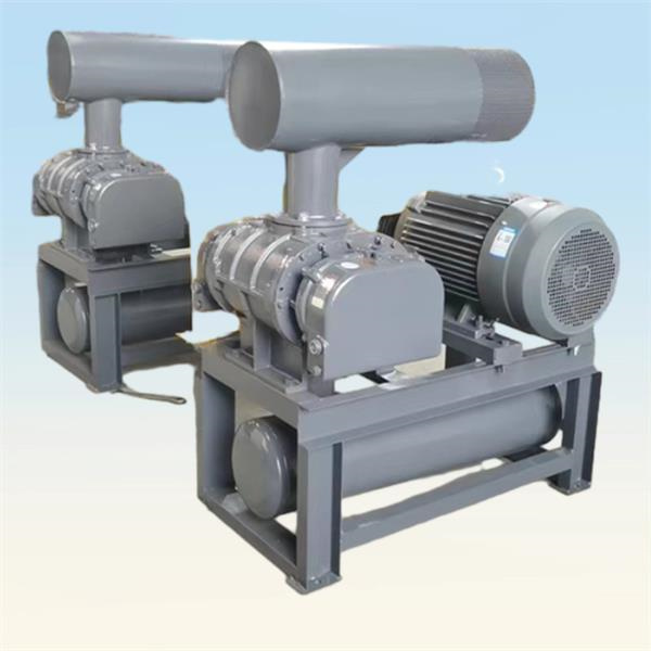 Engineering Conveying System Design for Efficiency and Performance