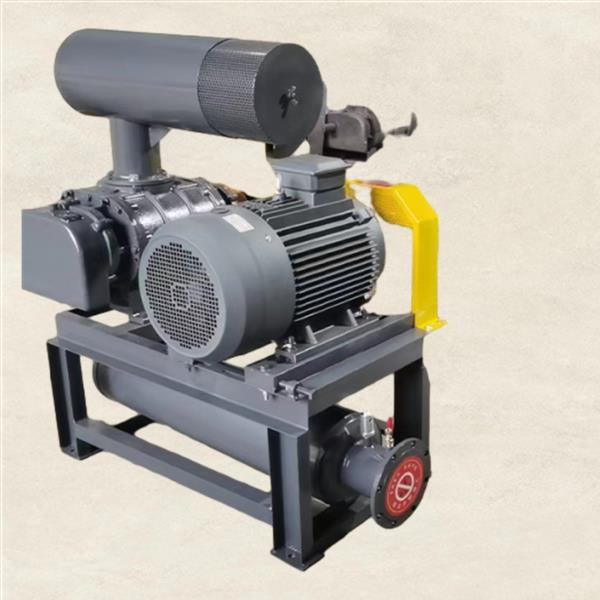 Exploring the Versatility of Pneumatic Sand Conveying Systems
