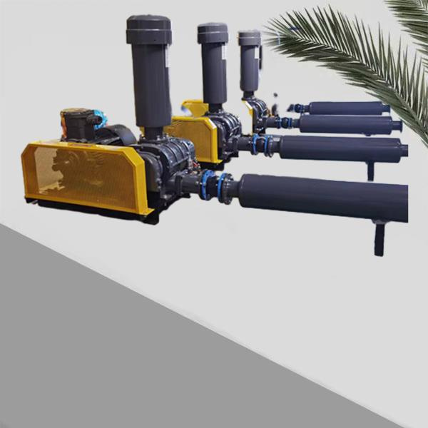 Maintenance Tips for the 3 Lobe Blower