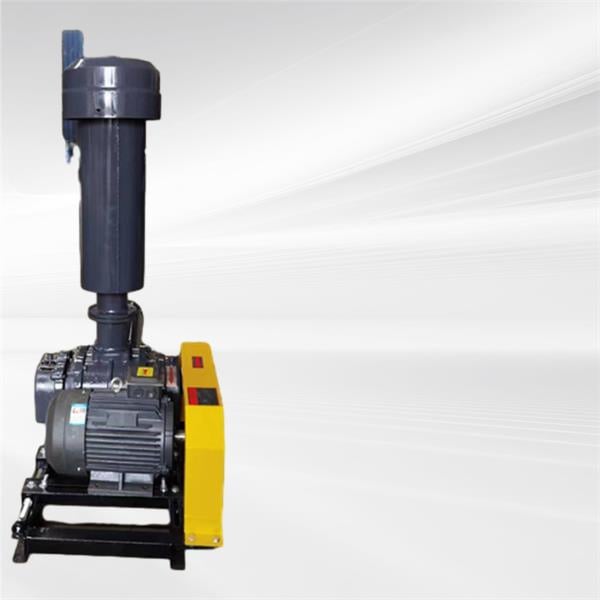 Maximizing Productivity with Customizable Pneumatic Conveying Solutions
