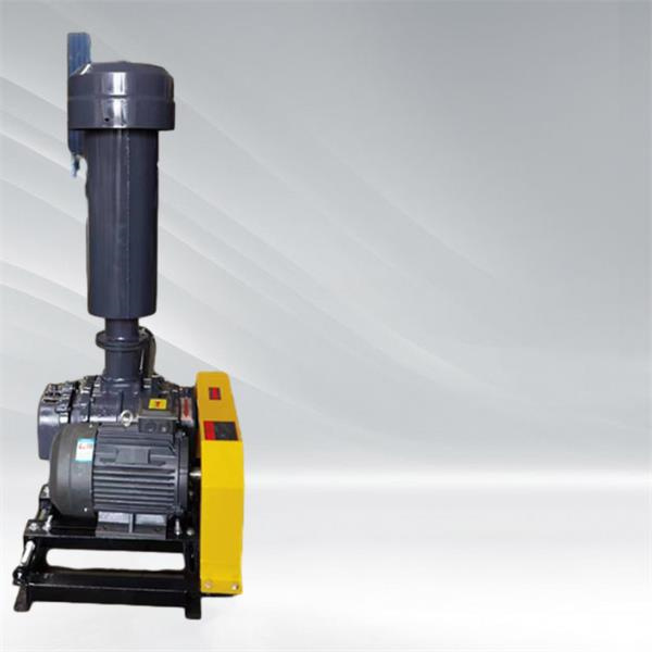 Applications of the Roots Type Compressor