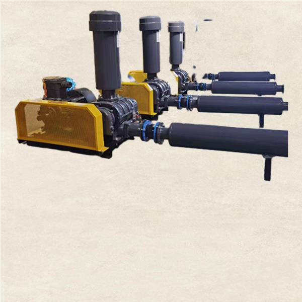콤팩트하고 가벼운 디자인으로 1 hp 루트 블로어는 사용과 보관이 편리합니다.
