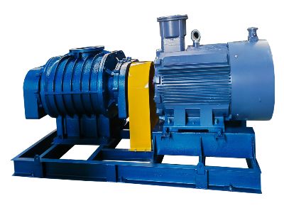 Mantenimiento del soplador eléctrico: prolongar la vida útil y solucionar problemas comunes