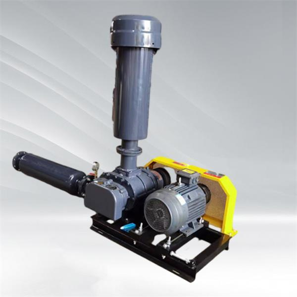 Applications of Roots Type Pump in Automotive and Pharmaceutical Industries