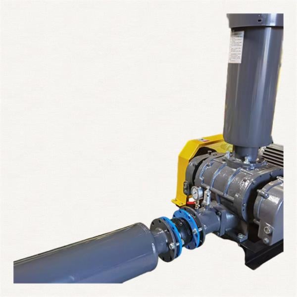 Maintenance and troubleshooting tips for root blower and vane type compressor.