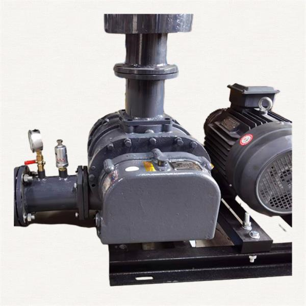 Op maat geskikte oplossings met Roots Ram Blower