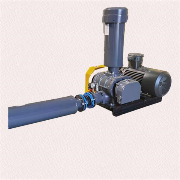 Types of Roots Blowers and Their Key Features
