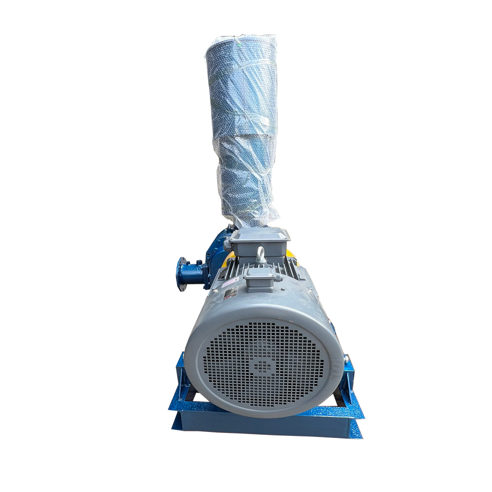 Come usare la Pompa a Ventilatore Roots